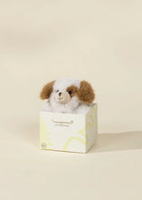 Load image into Gallery viewer, Mini Gift Plush Toy - Brown Dog