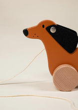 Load image into Gallery viewer, Dog Pull Toy