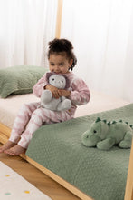 Load image into Gallery viewer, Dino Plush Toy - Grey Triceratops