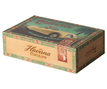 Load image into Gallery viewer, Grandma And Grandpa Mice In Cigarbox