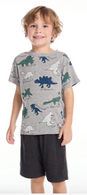 Load image into Gallery viewer, Streaky Gray Short Sleeve - Dino Jams