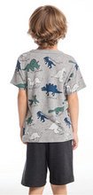 Load image into Gallery viewer, Streaky Gray Short Sleeve - Dino Jams