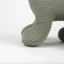 Load image into Gallery viewer, Victor Dinosaur - Small