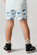 Load image into Gallery viewer, Person wearing white shorts with blue shark pattern and checkered socks on a plain background