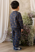 Load image into Gallery viewer, Organic Cotton Nash Track Pant - Playful Milo Captain