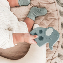 Load image into Gallery viewer, Itzy Pop Sensory Popper Toy Elephant