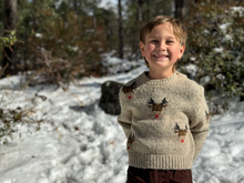 Load image into Gallery viewer, Rudy Sweater Beige Reindeer