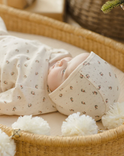 Load image into Gallery viewer, Take Home Set - Holly Berry