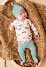 Load image into Gallery viewer, Baby Take Me Home Set - Moonlit Fox