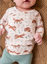 Load image into Gallery viewer, Baby Take Me Home Set - Moonlit Fox