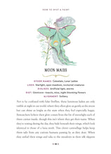 Load image into Gallery viewer, How To Spot A Fairy