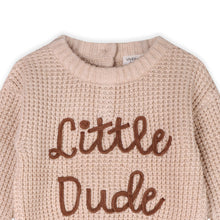 Load image into Gallery viewer, Little Dude Embroidered Sweater Knit Baby Pullover Oatmeal Heather
