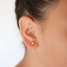 Load image into Gallery viewer, Seashell Earrings