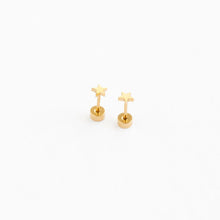 Load image into Gallery viewer, Mini Star Earrings