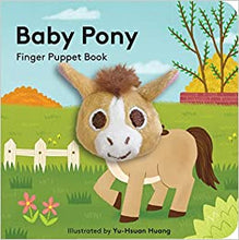 Load image into Gallery viewer, Baby Pony
