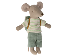 Load image into Gallery viewer, Tricycle Mouse Big Brother, front view
