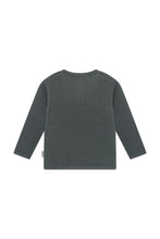 Load image into Gallery viewer, Long Sleeve Tee - Balsam Green

