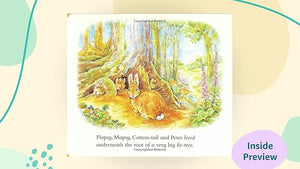 Tale of Peter  A Story Board Book