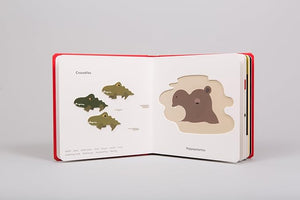 Touch Think Learn Wild Animals