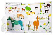 Load image into Gallery viewer, Ultimate Book Of Horses
