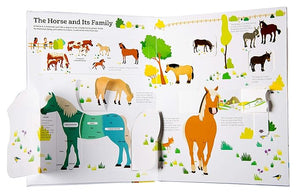 Ultimate Book Of Horses