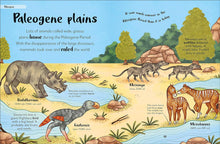 Load image into Gallery viewer, The Bedtime Book Of Dinosaurs And Other Prehistoric Life
