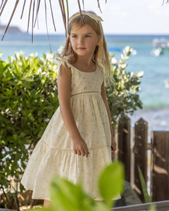Alice Dress Star Fish