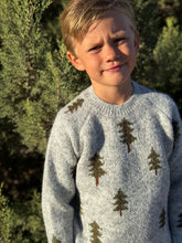 Load image into Gallery viewer, Woody Sweater - Forest
