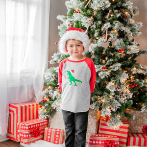 Santa Dino Christmas 3/4 Shirt