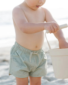 Boys Swim Short - Dino