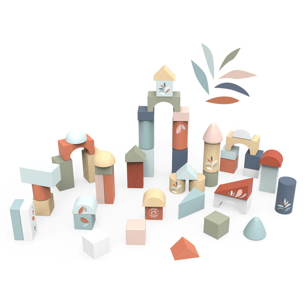 Building Blocks -50 Pieces