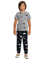 Load image into Gallery viewer, Dinos Boys Triblend S/S Crew Neck Tee
