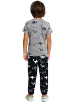 Load image into Gallery viewer, Dinos Boys Triblend S/S Crew Neck Tee
