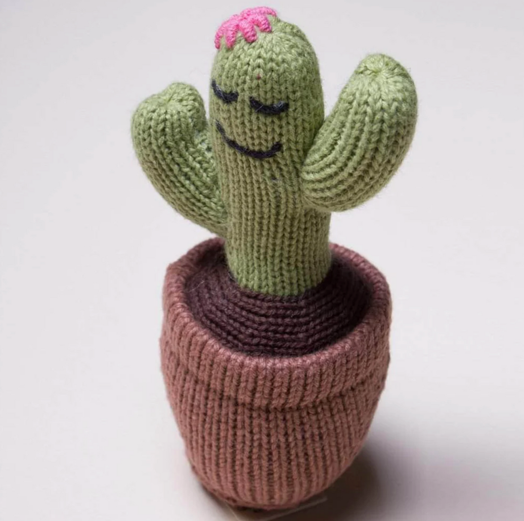 Organic Baby Rattle Cactus