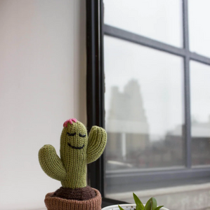 Organic Baby Rattle Cactus