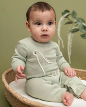 Load image into Gallery viewer, Baby wearing a green outfit with a dinosaur design, sitting in a wicker basket against a green wall.
