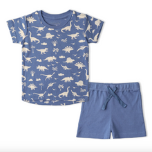Load image into Gallery viewer, Children's blue t-shirt with dinosaur pattern and matching shorts on a white background
