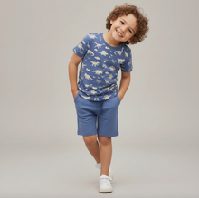 Load image into Gallery viewer, Child wearing a blue t-shirt with dinosaur print and blue shorts on a plain background
