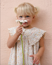 Load image into Gallery viewer, Porter Dress - Summer Garden
