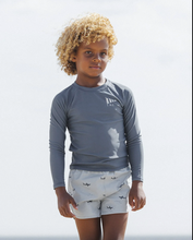 Load image into Gallery viewer, Long Sleeve Rashguard - Navy

