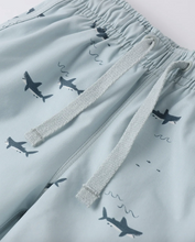 Load image into Gallery viewer, Swim Trunk - Sharks

