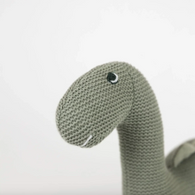 Load image into Gallery viewer, Victor Dinosaur - Small
