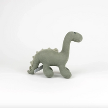 Load image into Gallery viewer, Victor Dinosaur - Small
