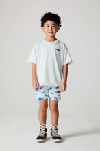 Load image into Gallery viewer, Child wearing a white t-shirt with a blue graphic and patterned shorts on a plain background
