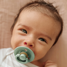 Load image into Gallery viewer, Itzy Soother Natural Rubber Paci Sets Succulent + Agave

