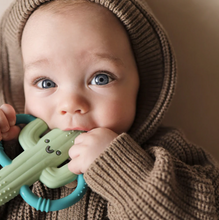 Load image into Gallery viewer, Cactus Chew Crew Teether
