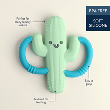 Load image into Gallery viewer, Cactus Chew Crew Teether
