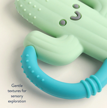 Load image into Gallery viewer, Cactus Chew Crew Teether
