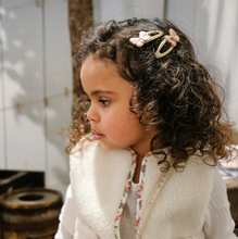 Load image into Gallery viewer, Patchwork Butterfly Clips
