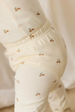 Load image into Gallery viewer, Organic Cotton Everyday Legging - Forest Night Acorns
